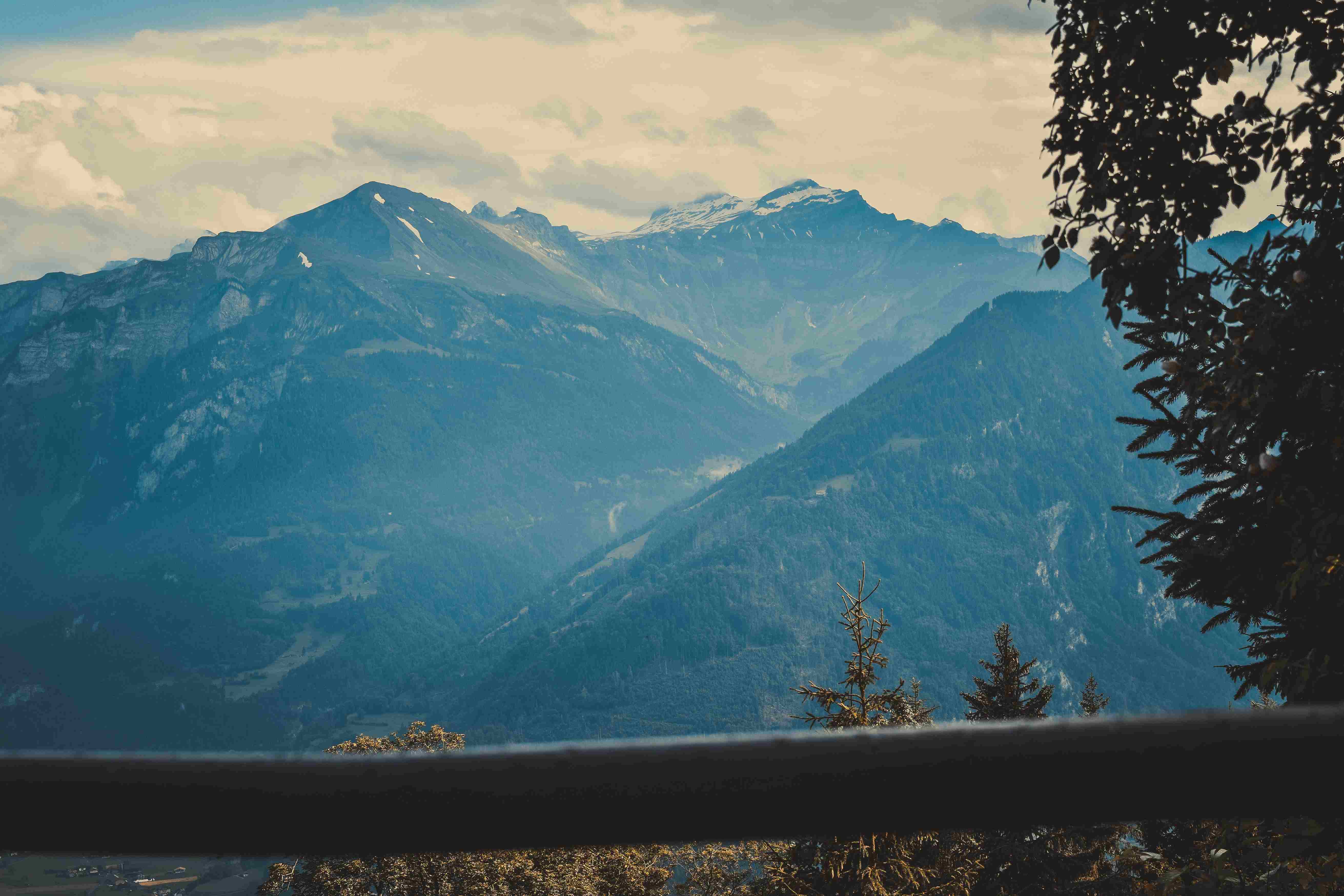 Trees and Mountains